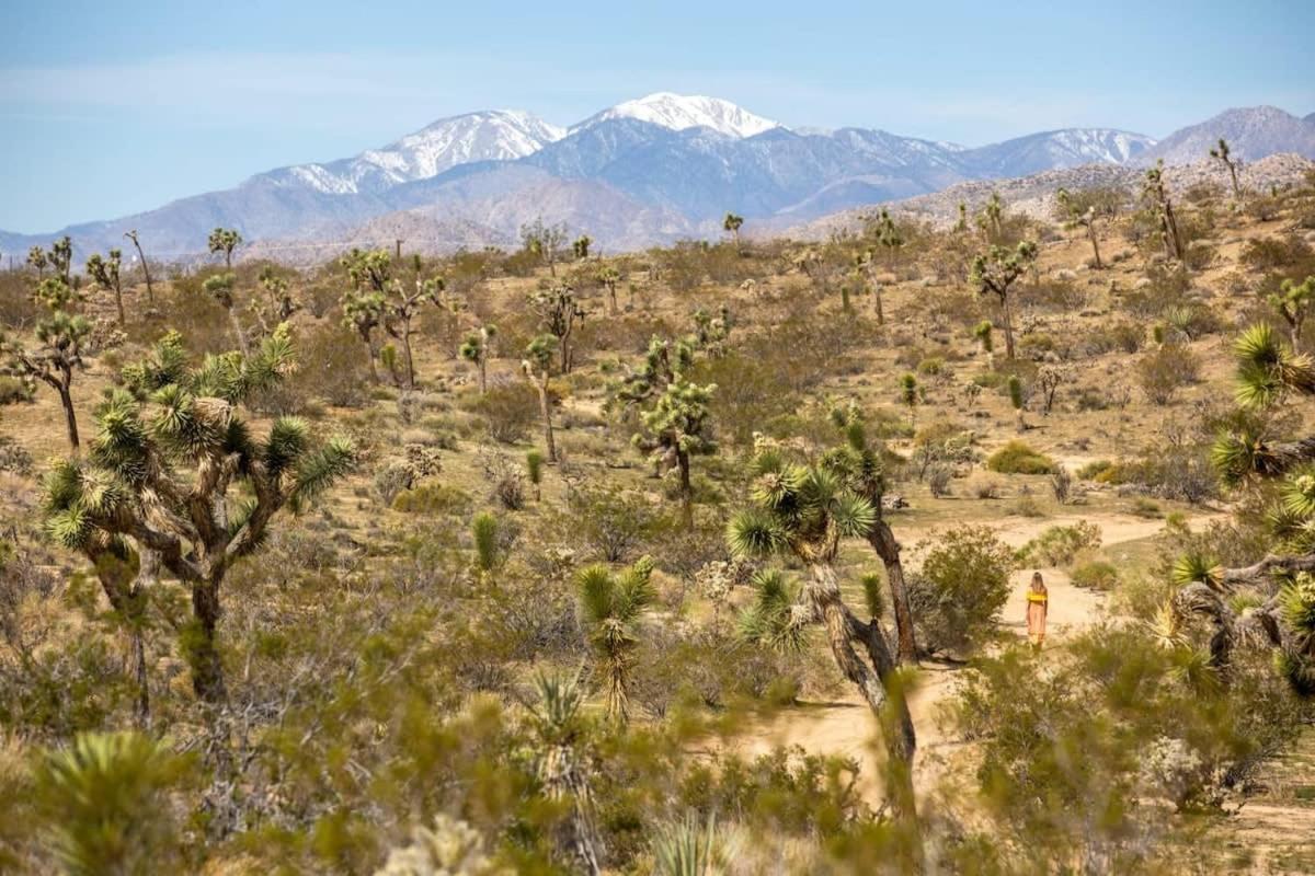The Bungalows By Homestead Modern Joshua Tree Exterior photo