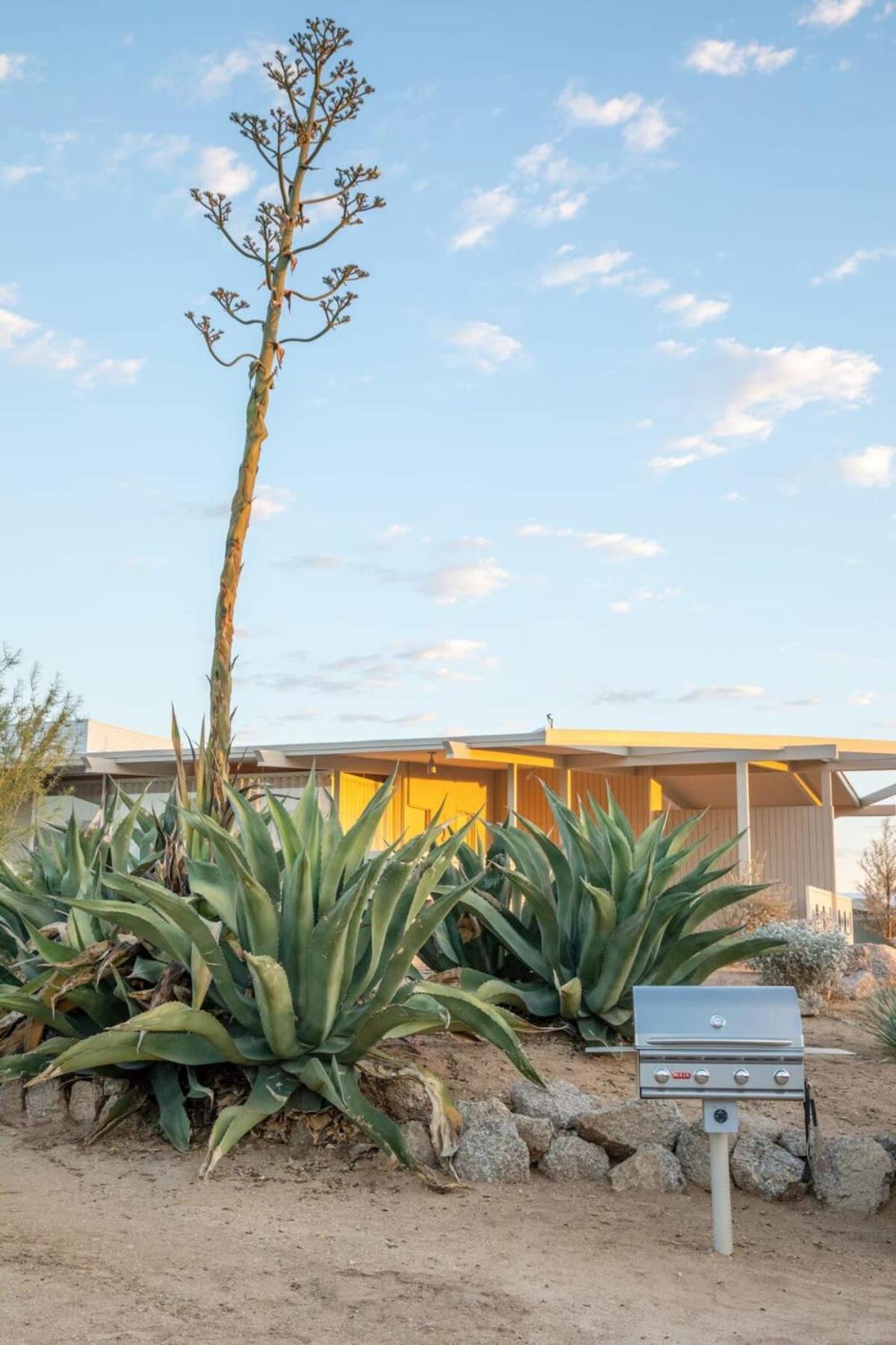 The Bungalows By Homestead Modern Joshua Tree Exterior photo
